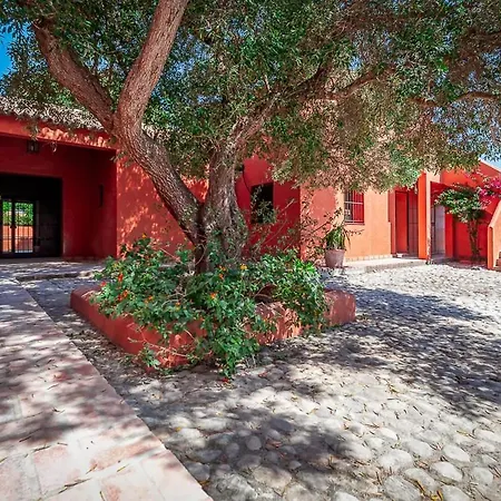 La Casa Del Torero Vejer de la Frontera